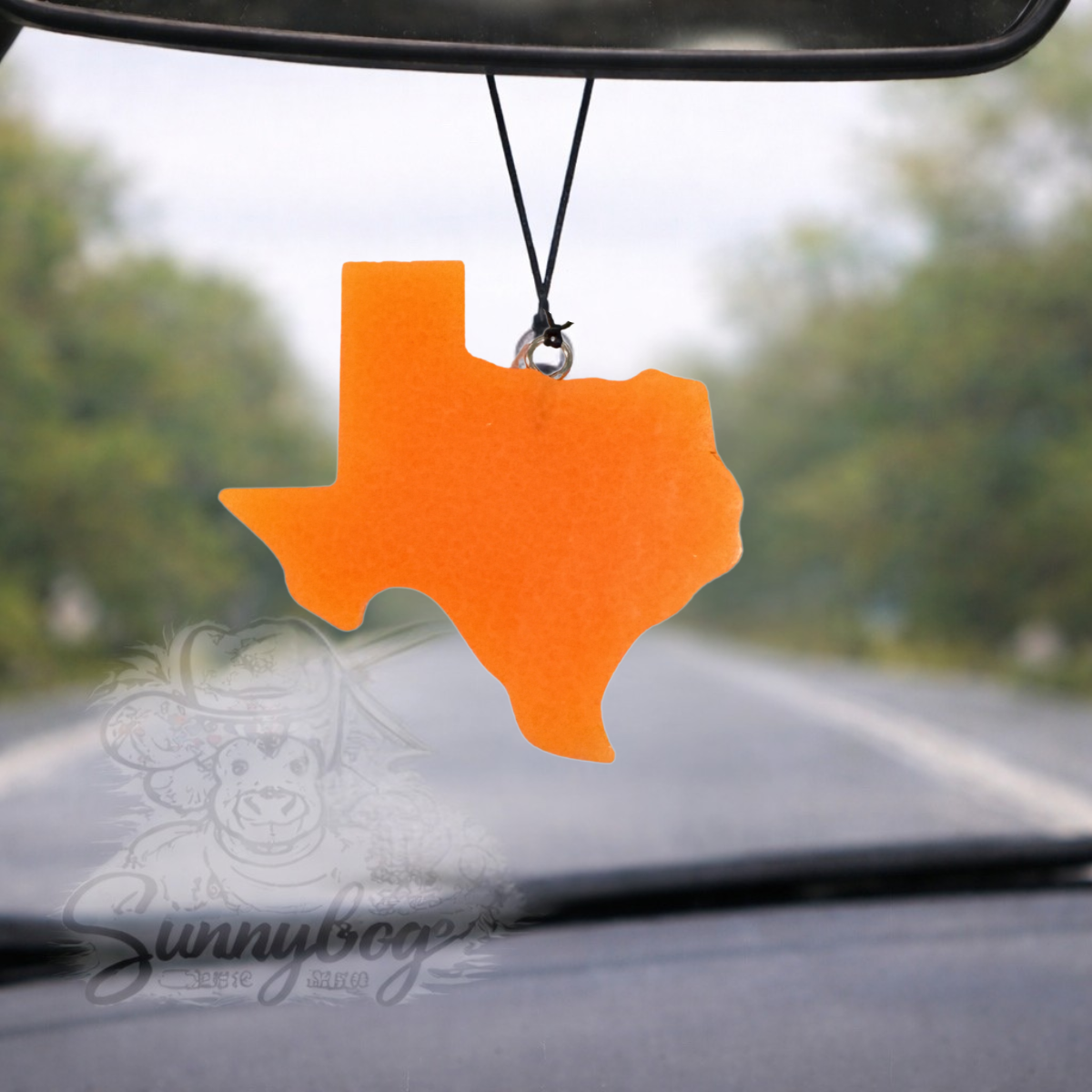Texas Plain